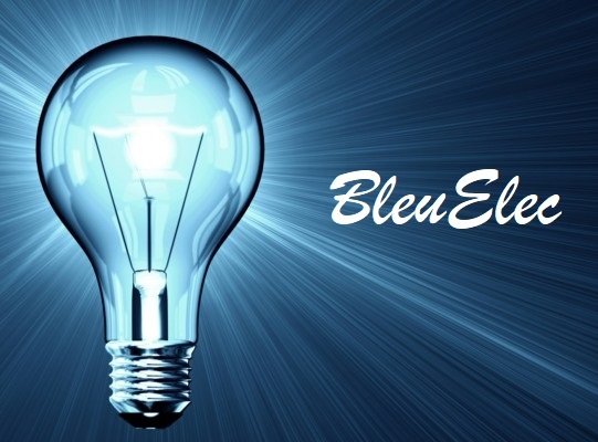 logo BleuElec